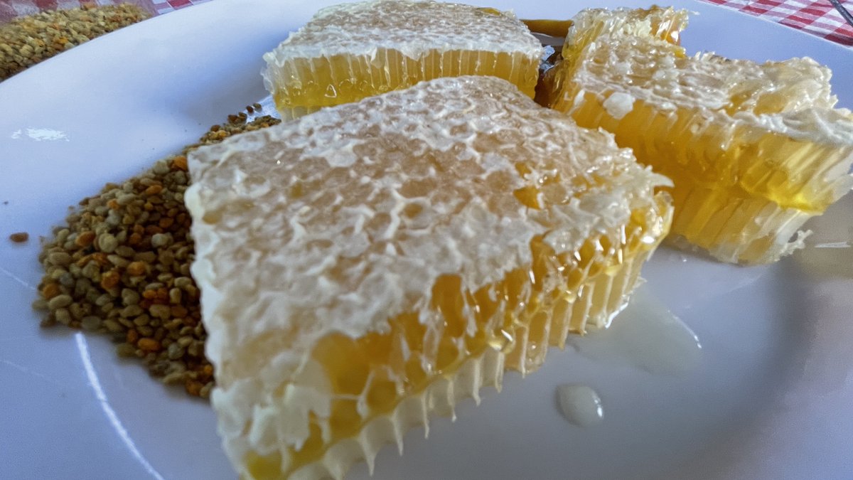 TurkiyePD's tweet photo. Türkiye’s flavors now know no borders! 🌍
Yenice Linden Honey 🍯 has claimed its place on tables worldwide with its European Union #geographicalindication registration.
Türkiye’s gastronomic heritage continues to shine on the global stage! ✨

Credit: Anadolu Images https://t.co/KXo9T1K0Y7