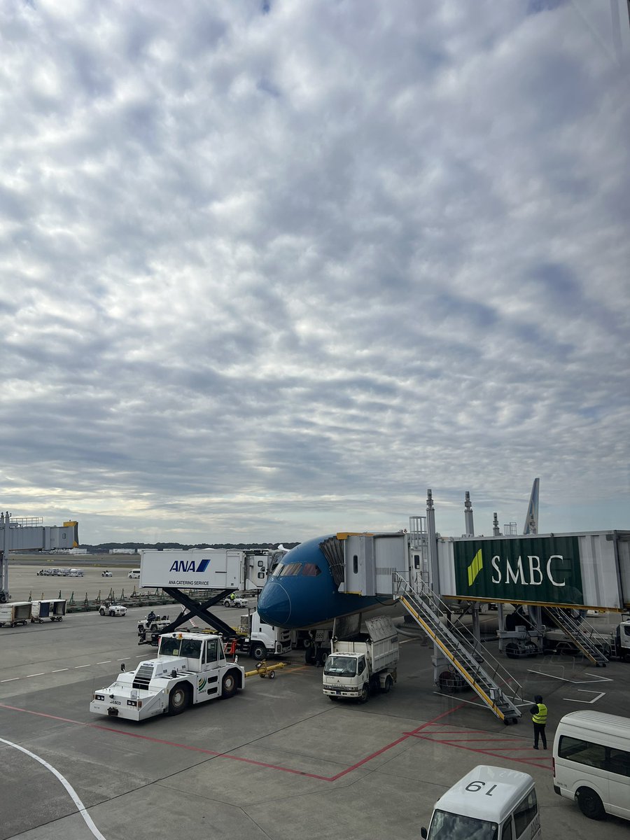 keiarao18's tweet image. Working since early Sunday morning on a ‘no-days-off’ business trip, then flying back on a mid-night flight and grinding from morning till night like it’s nothing… At this point I’m past ‘busy’ — my brain’s gonna bugging out.
 #workhard  #buggingout