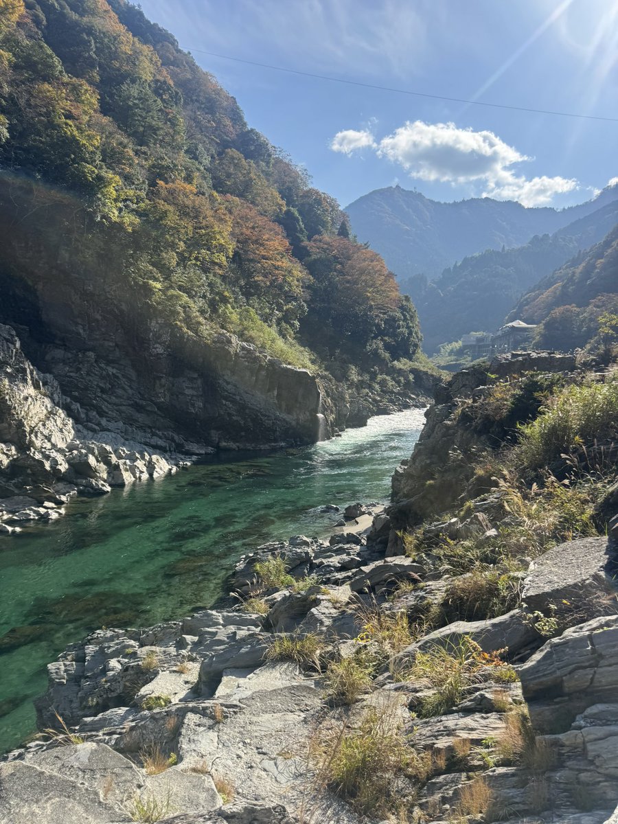 yungdoteth's tweet image. Sugao no mamade