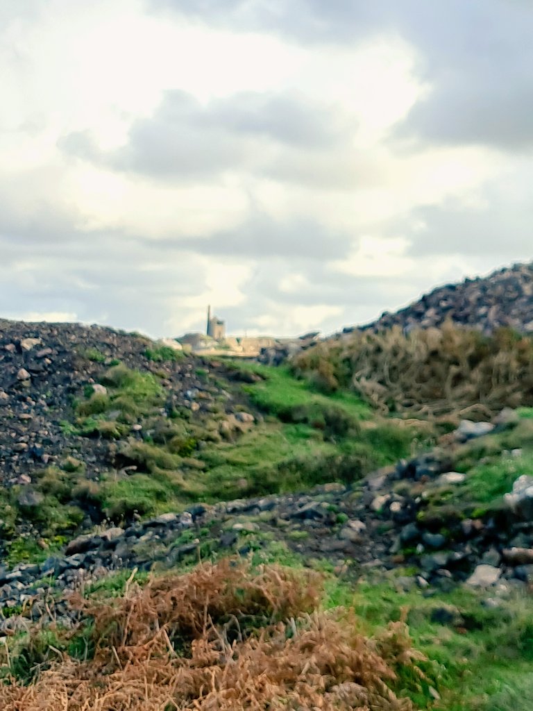 Morning walk, #Botallack 
Brilliantly clear again colour all around and up and down.
Wheal Cock to Higher Bal just as a flurry of soft hail stroked us. 
#Kernow
