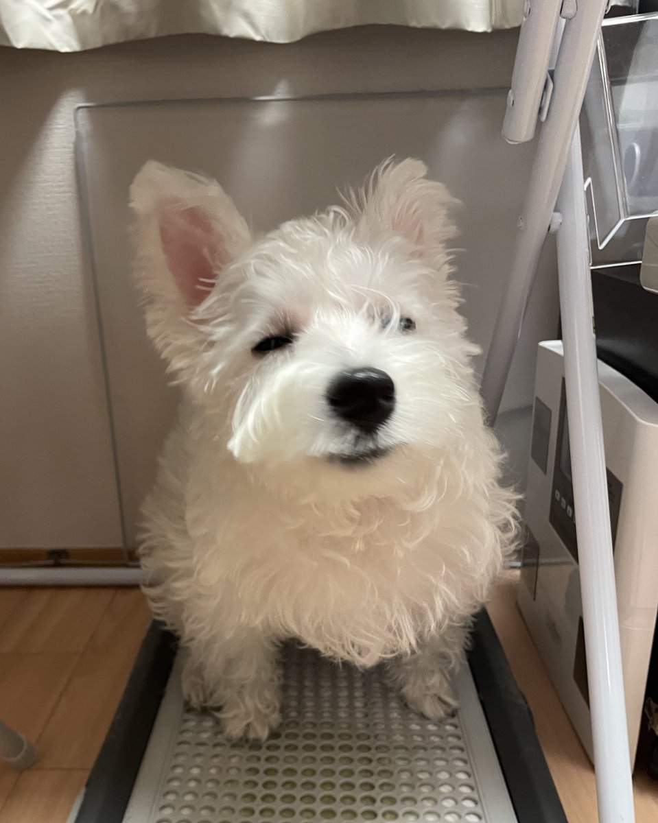 YUK! (@yukiikuy) / Posts / X