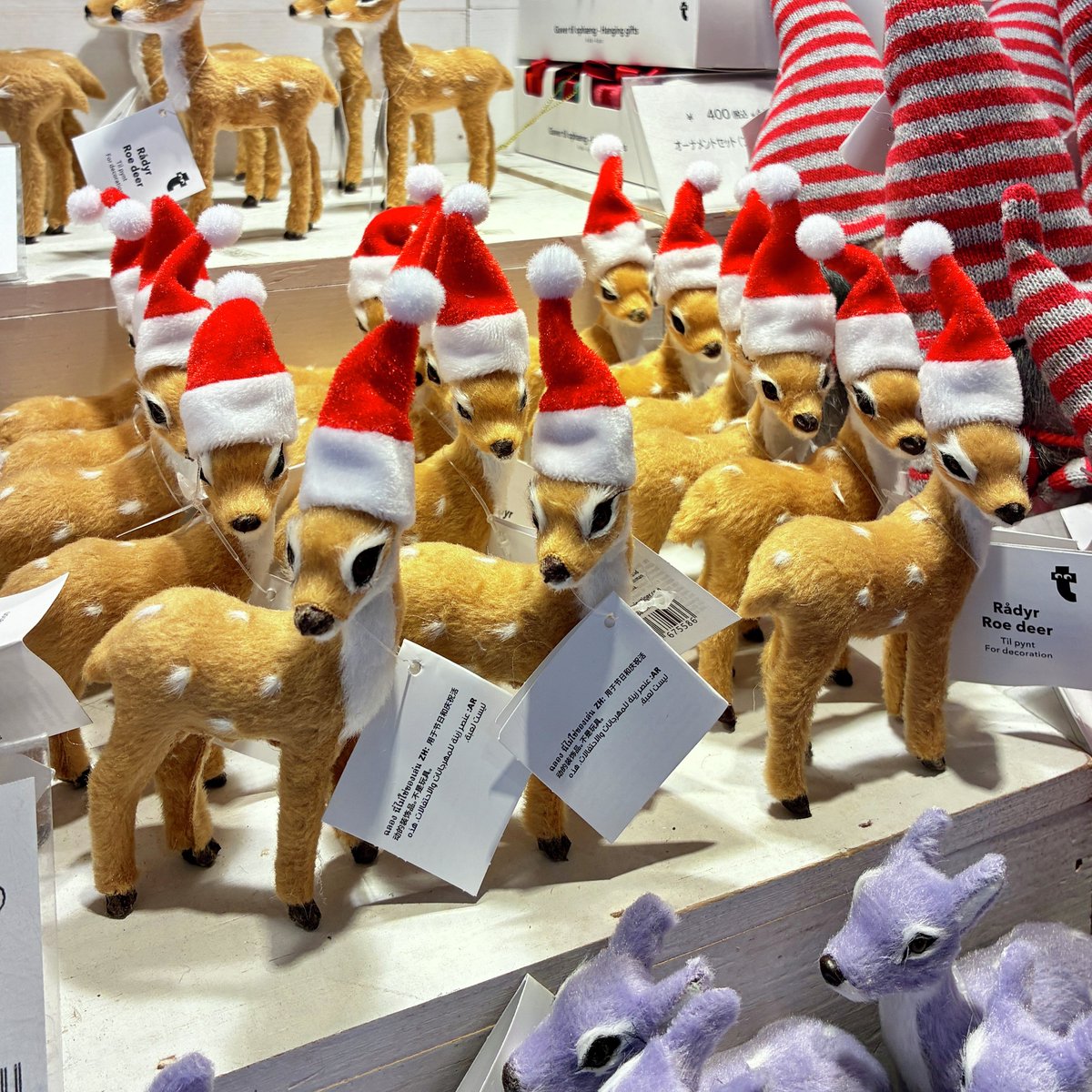 トナカイさんも、おめかししてるの🦌🤎