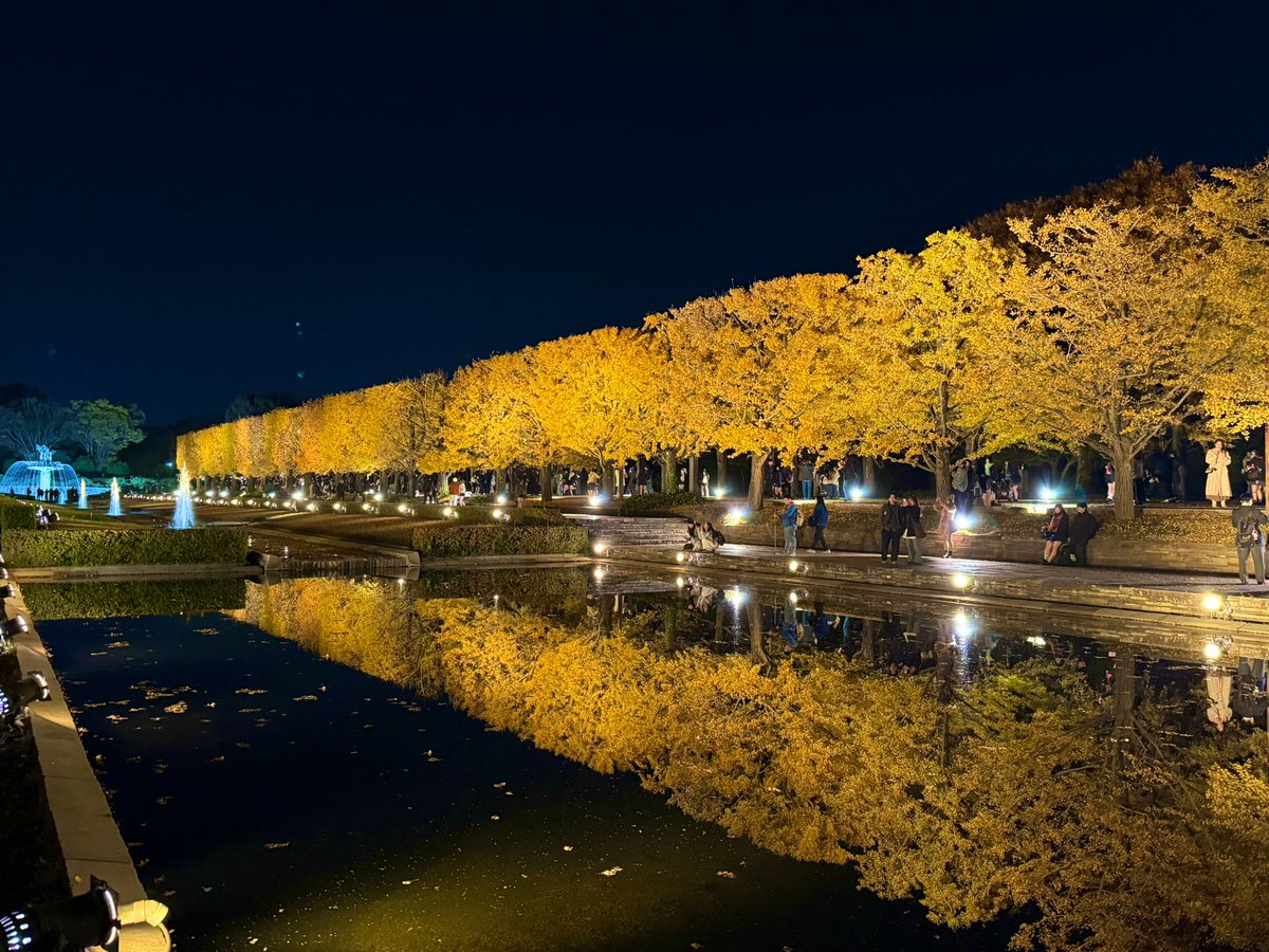 HIMAWARI (@387sunflower) / Posts / X