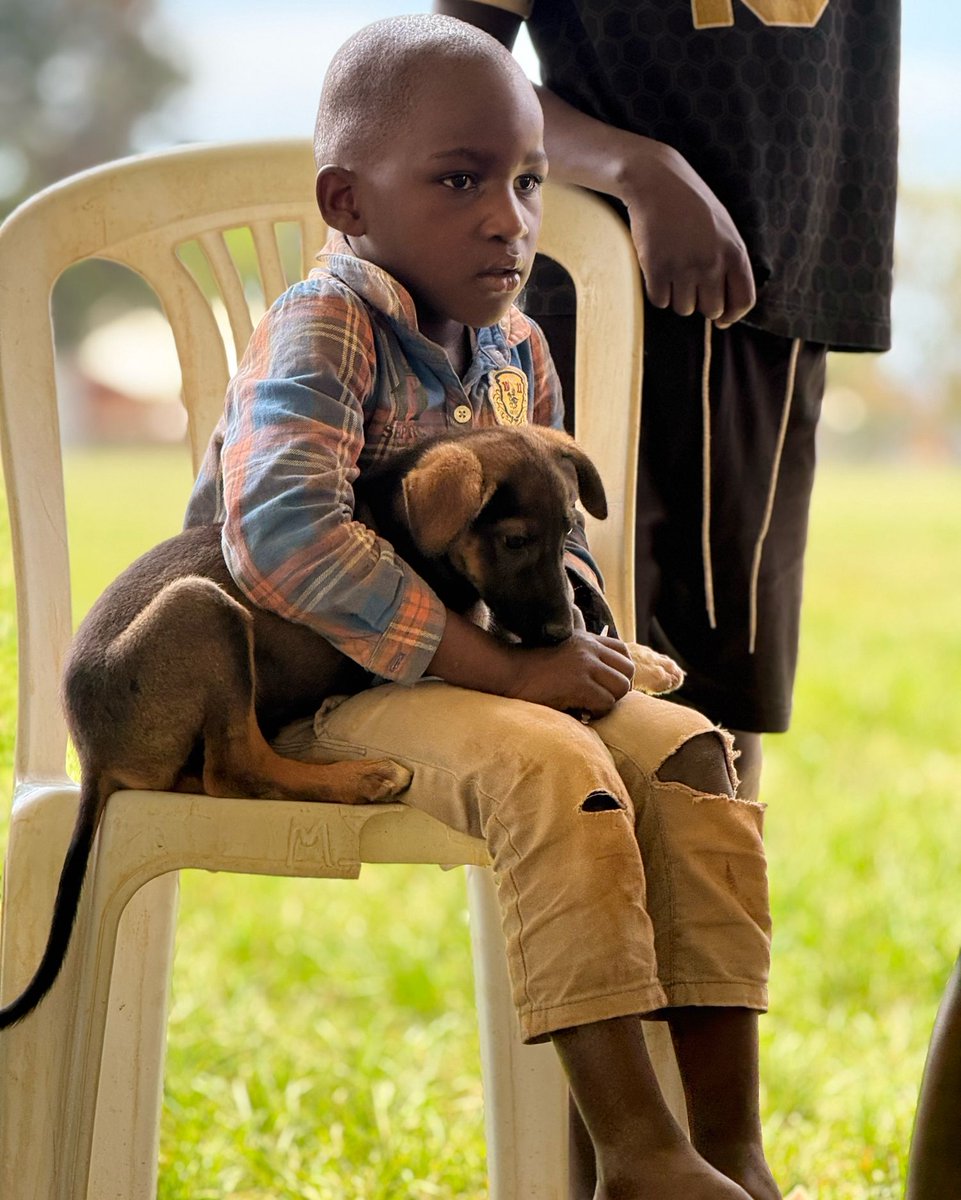 Uniquely Paws tweet media