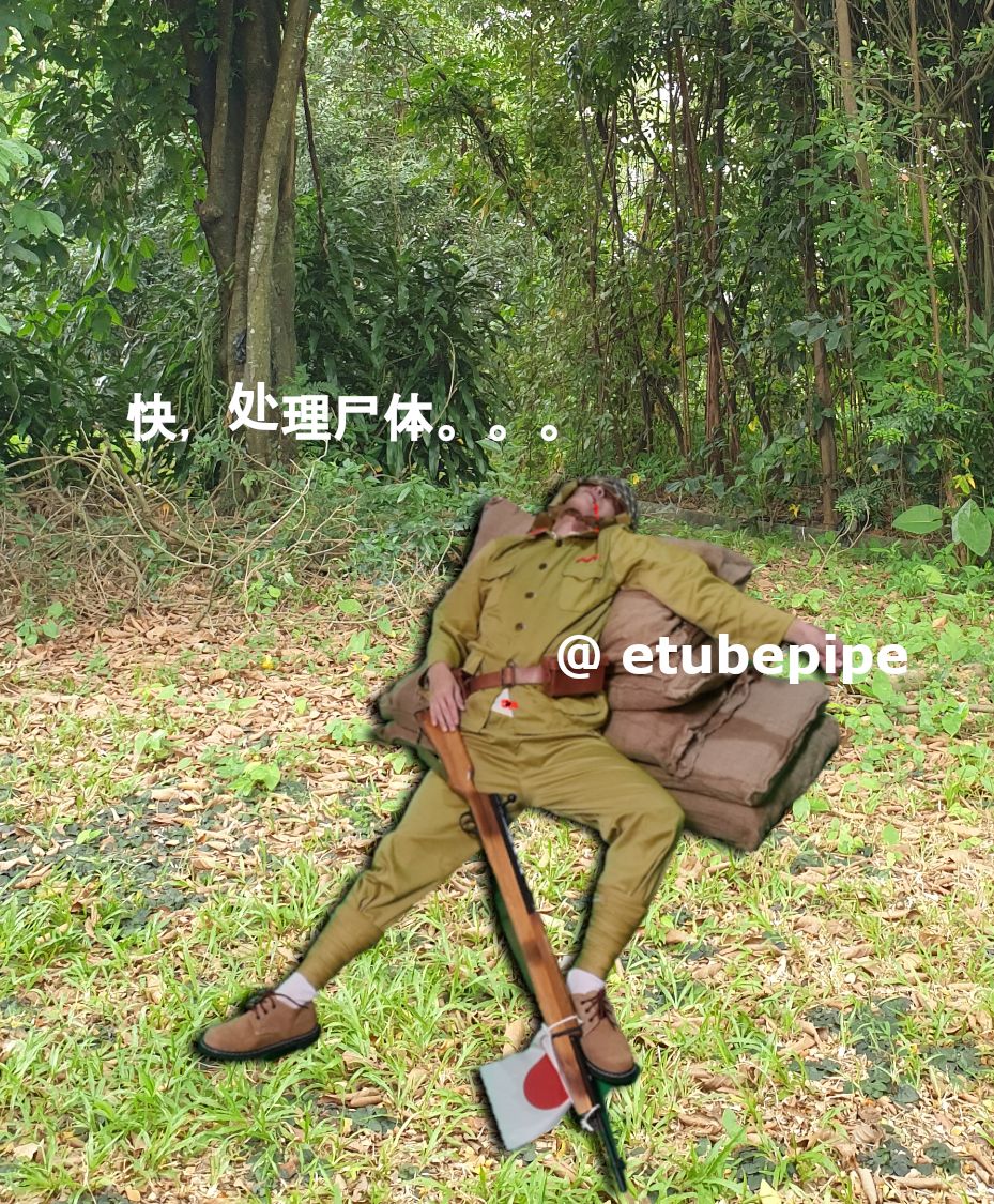 DigiCut单纯 tweet media