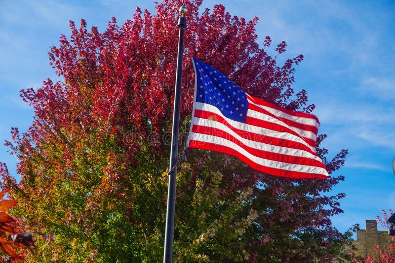 DawgRight's tweet image. I pledge allegiance to the flag of the United States of America and to the republic for which it stands, one nation under God, indivisible, with liberty and justice for all