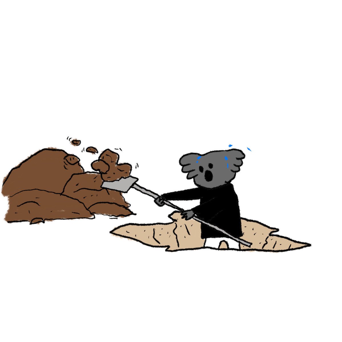 stinky koala tweet media