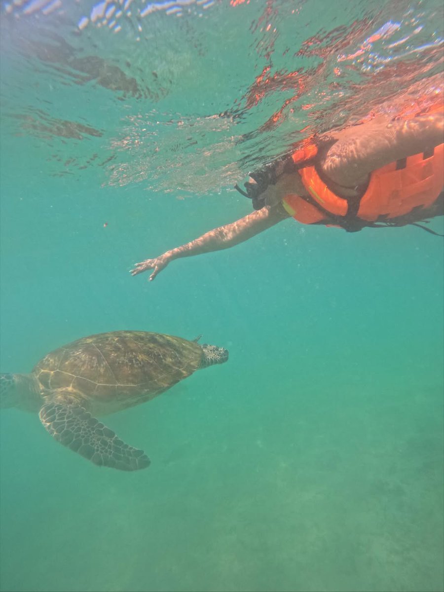 HydTimes's tweet photo. Turtles gliding to Prosecco sunsets, #AmalaPaul looks back at her trip to Sri Lanka 

#SriLanka #Travel #Vacation https://t.co/nlaVwjXHXZ
