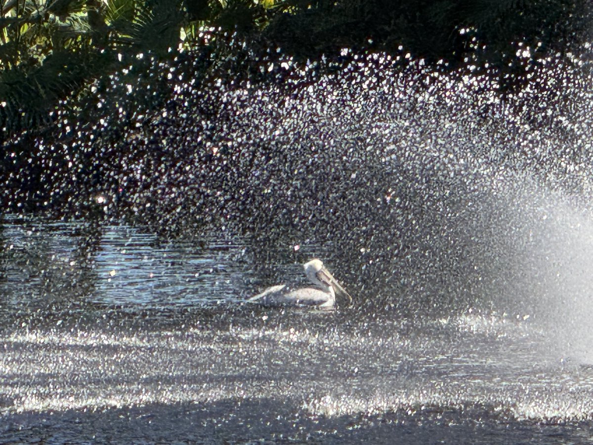 always appreciating one - that one moment of unexpected impressions - during an otherwise busy day - that *one* moment always grounds me … beauty in that moment…