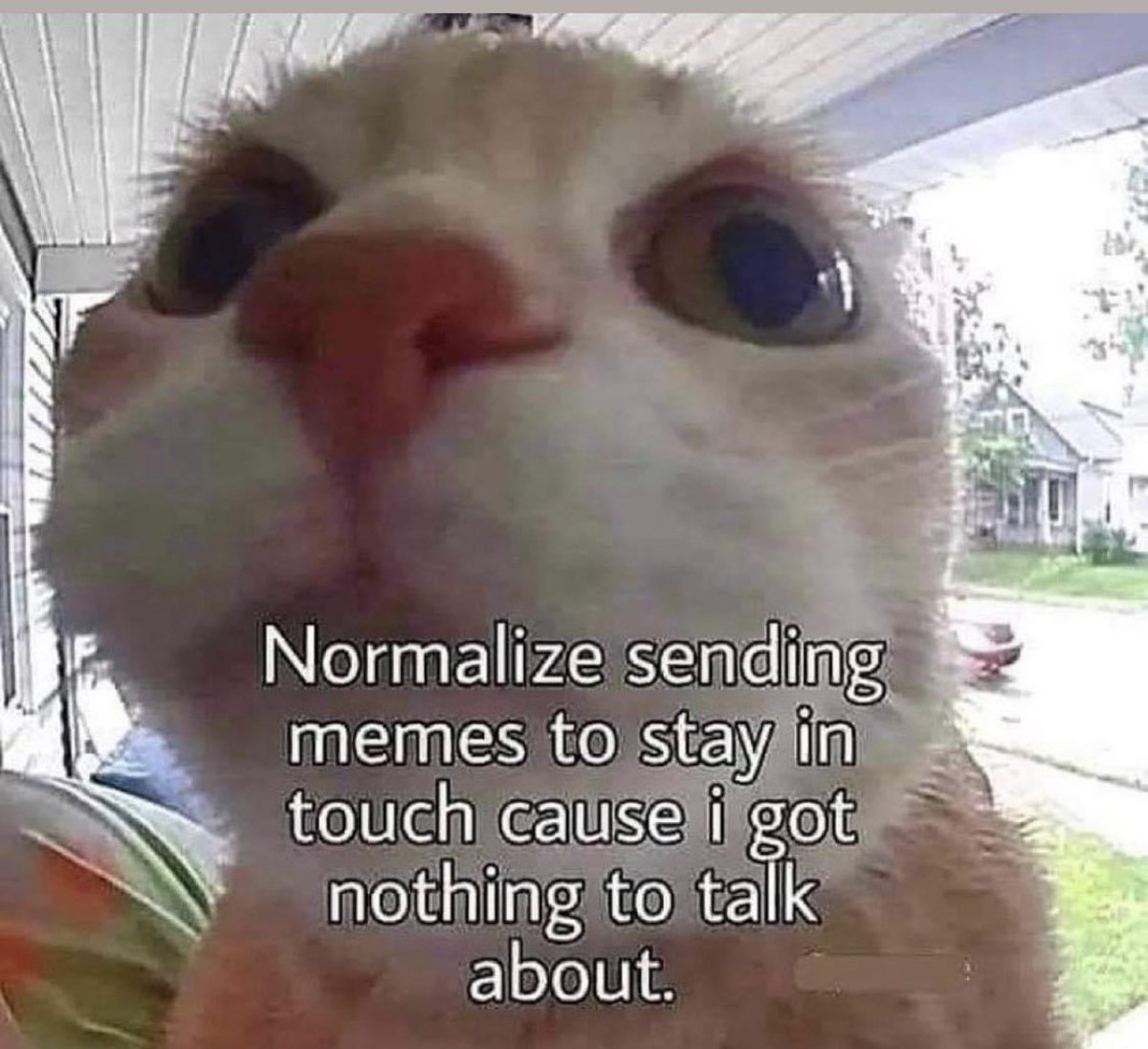 Respectful Memes (@respectfulmemes) on Twitter photo 