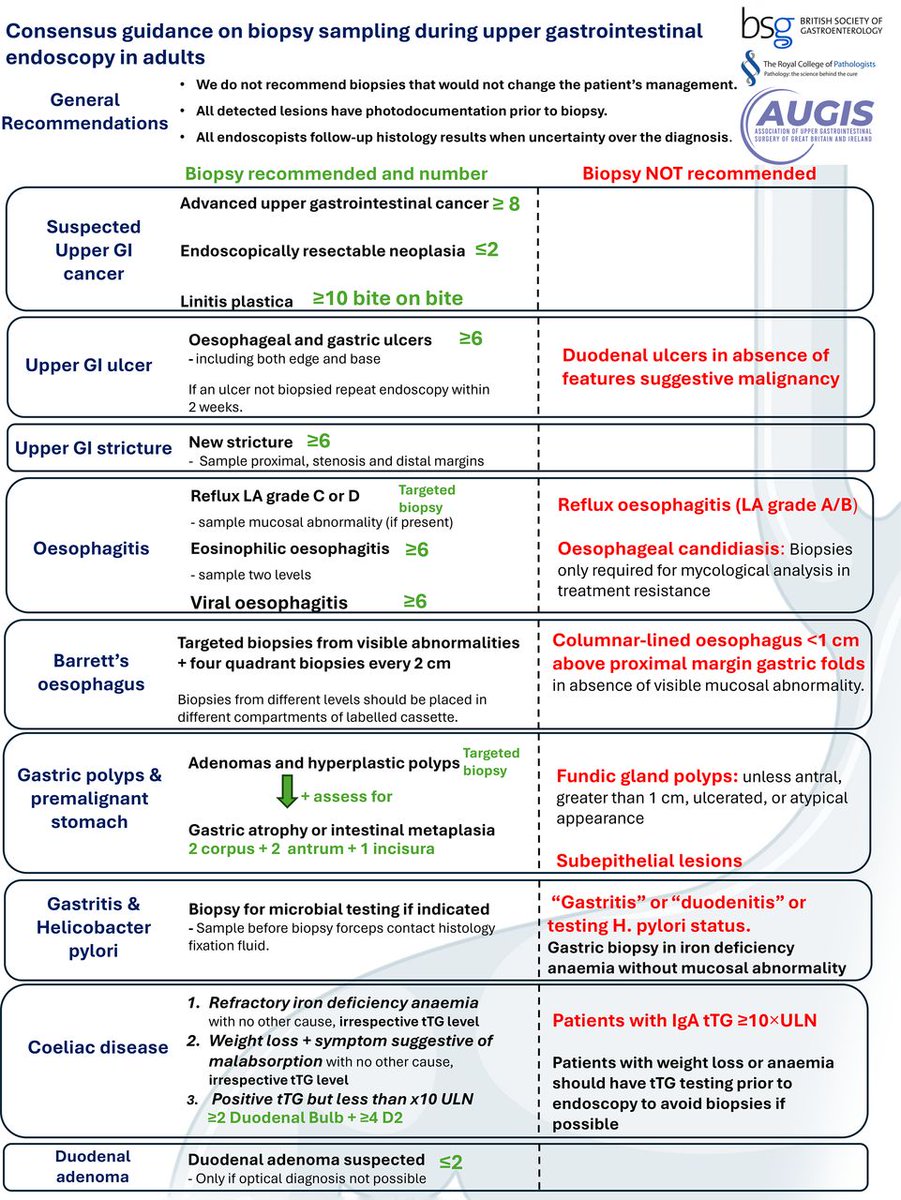 FrontGastro_BMJ's tweet photo. 🔥 HOT off the press 🧨. New guidelines produced by the combined powerhouses of the @BritSocGastro @Augishealth @RCPath on sampling in UGI endoscopy 🔬 .

This delphi consensus provides clear guidance on when to biopsy ✅ , when not to biopsy ⛔, and how many samples to take 🔢. 

This is a must-read for anyone doing UGI endoscopy 📖 🫵. Check out below ⬇️ ⬇️ ⬇️ 

https://t.co/o0YkJ1ppyJ

@PhilSmithIsBack  @OTavabie  @dr_aditi_kumar @TrevorTabone @eathar_s @IrenePerezMD @KGananandan @zare_benjamin @medicalreg @dtleiberman  @BASLedu  @WorldGastroOrg @ulstergastro  @pancreatitis_nl @SEEDendoscopia @EASLedu @AmCollegeGastro @Aegastro @SAGES_updates @UHSEndoscopy @WAGE_media 

#GITwitter #Endoscopy #UGI #Gastroenterology #MedEd #Pathology