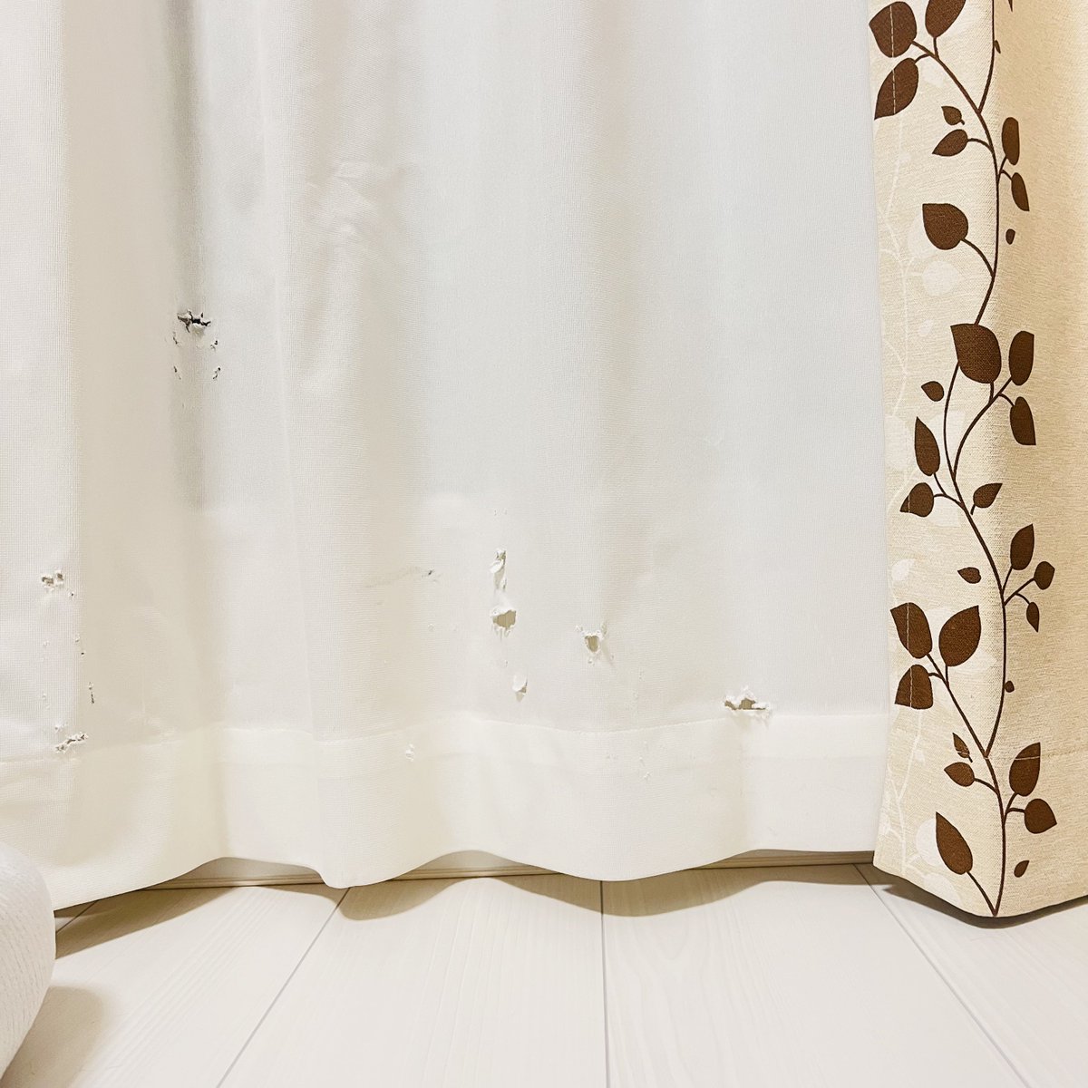 なんて良いヴィンテージなんだ 上下に穴2つ 完璧や、、、！