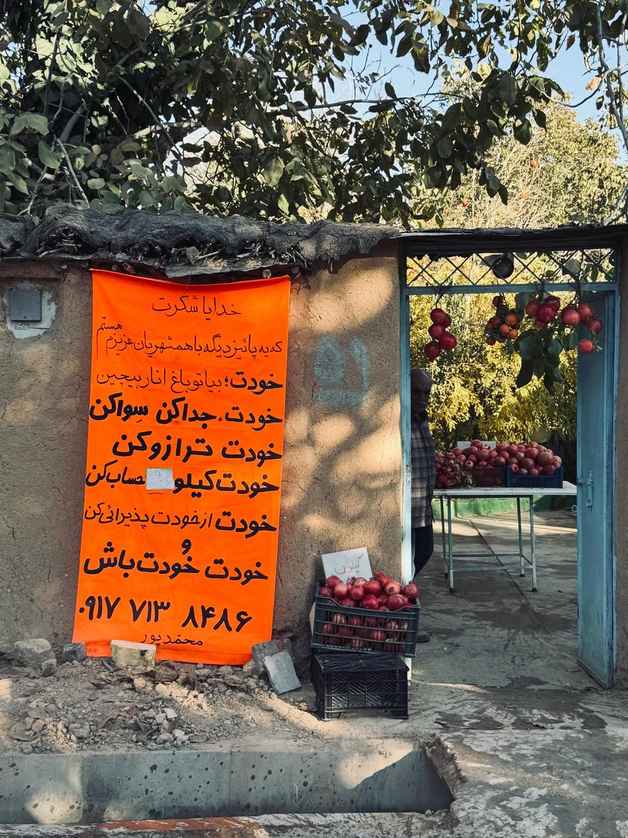 محمد کلهر | Mohammad Kalhor tweet media