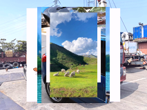 trungtrandonga1's tweet image. 638992375316510007_53Les fleurs de jasmins dans le jardin de la maison, nuit chaude de juillet 🌸638992375316510007_53