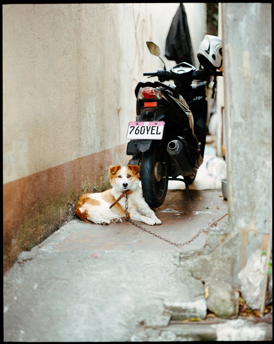 PUBLIC MARKET ARCHIVE 
Baguio, Philippines