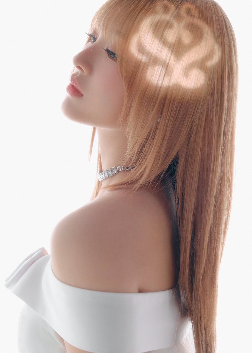 ミナミ ミナミのロイヤル肩