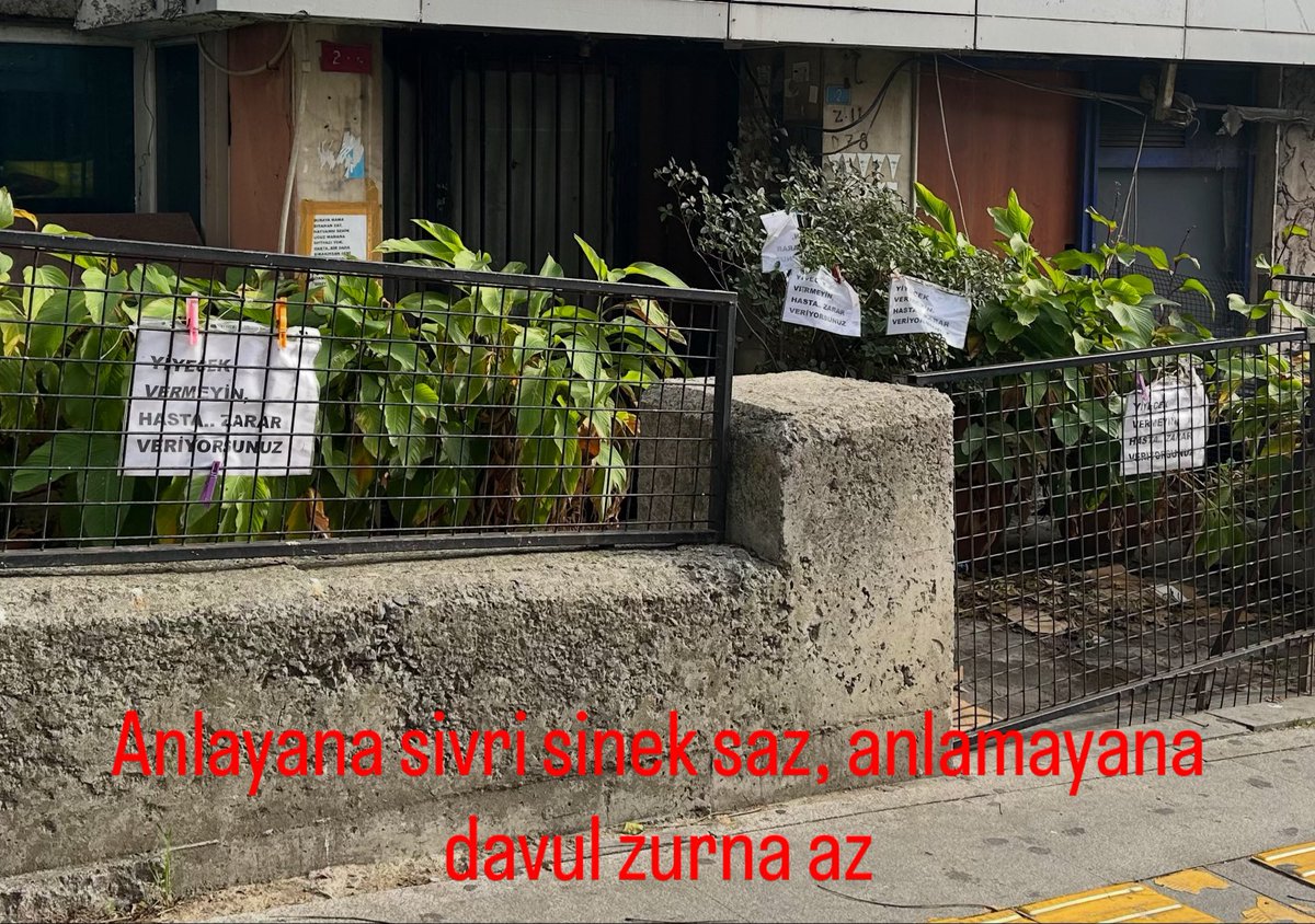 Anlayana sivri sinek saz, anlamayana davul zurna az