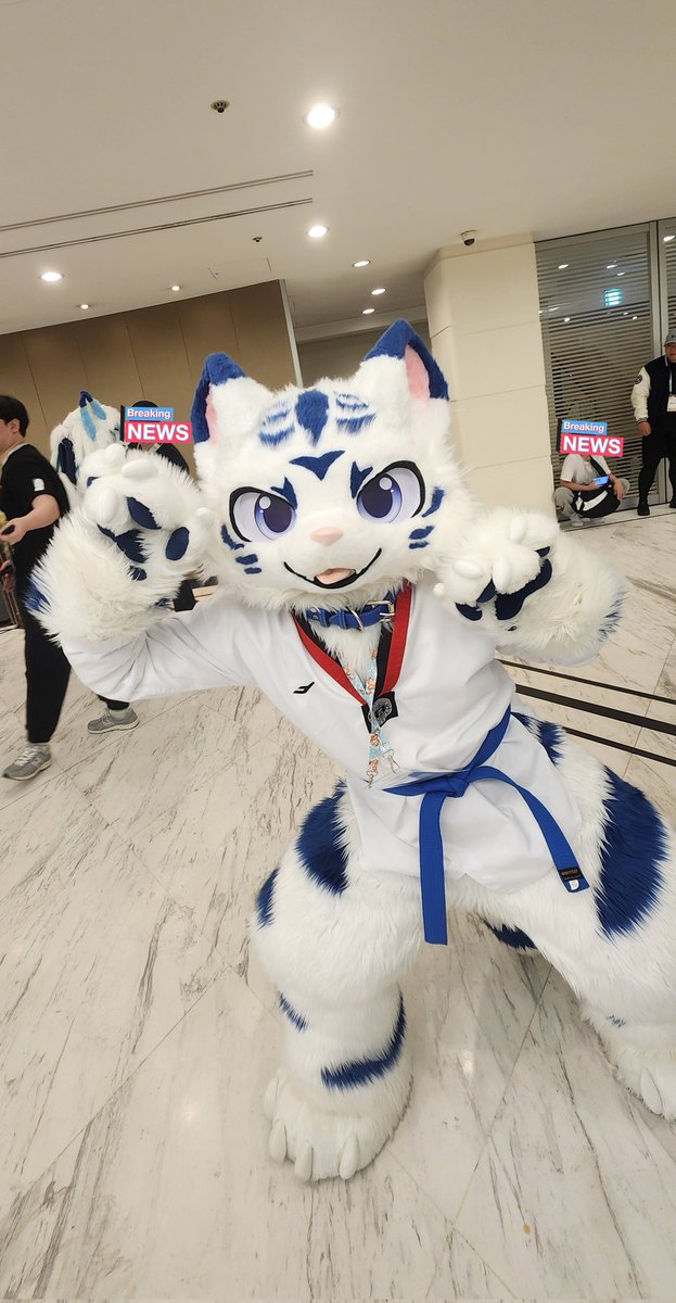 태권도 호랑이 '첸'님!
#Furry #FURSTCLASS