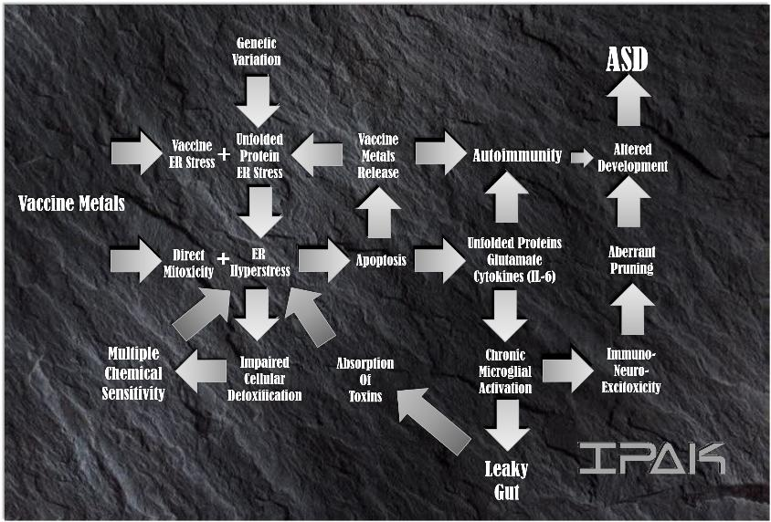 lifebiomedguru's tweet photo. @AaronSiriSG @realDonaldTrump @RobertKennedyJr From 2015... and then the IPAK Model pulled it together. We know. We have known since before 2015. https://t.co/MLqpChmBtO  See also https://t.co/eDu3gzcaak  #IPAK https://t.co/7LLYvmr1ZU
