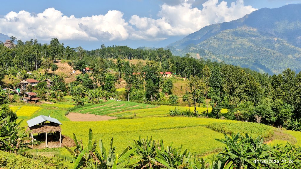 दिउँसो चरक्क घाममा गाउँमा गएर गफ्फियो मज्जैले ।