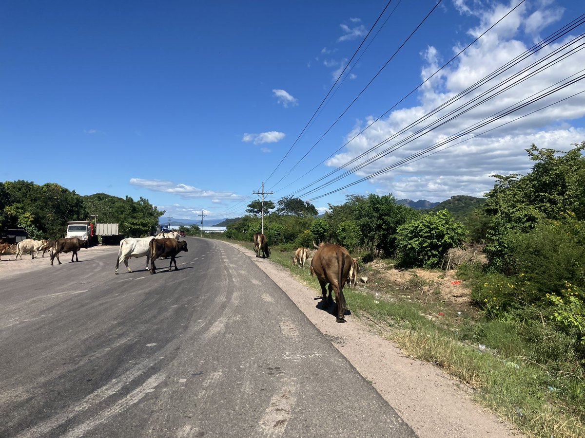 bikeandmagic's tweet image. ホンジュラス南部をエルサルバトル目指して走行中です。

雨季が終わったのか雨に降られずによいですが、日中は動きたくなくなる程日差しが強烈。

しっかり冷えた袋入りの飲料水が2レンピラおよそ12円で買えるのでこればかり飲んでます。

国境まであと一息。明日はエルサルバドル入国予定。