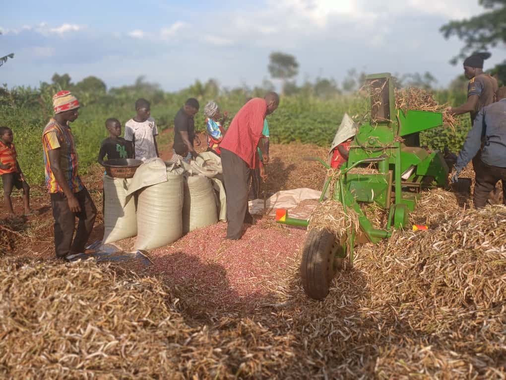 kilimoEAC's tweet photo. With the new beans thresher, her harvest is now fast, clean, and stress-free.
Her words say it all: “Now we can produce more beans.” 

Farmers are no longer struggling through back-breaking work.

#EAMIAT #KTAt20 https://t.co/I4DGBdmwOP