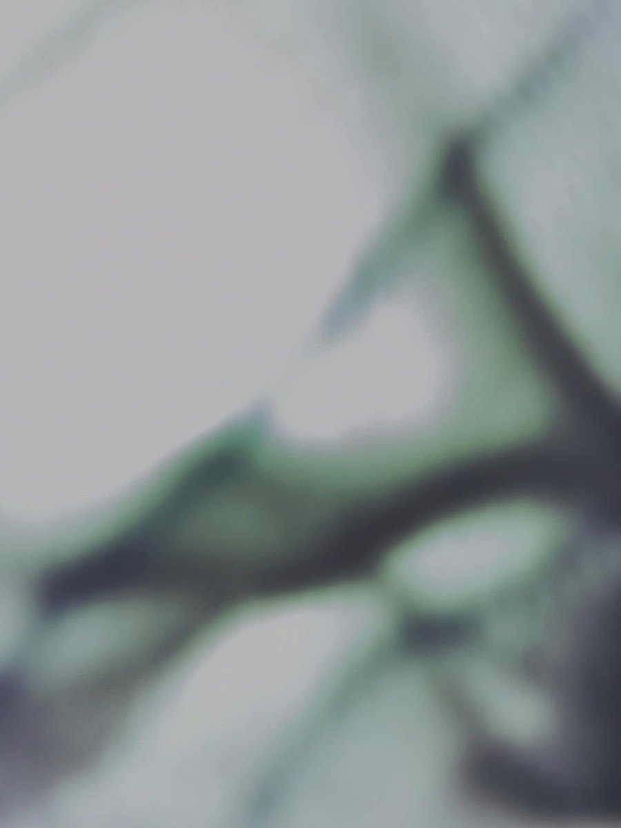 howurlytouse's tweet image. #HOWTOPOST
11/20/2025 | 🤸🏻‍♂️ nowgiwon INSTA POST UPDATE

🔗 instagram.com/p/DRRT-nOEVo0/…

#GIWON #기원 #howtouse #하우투유즈