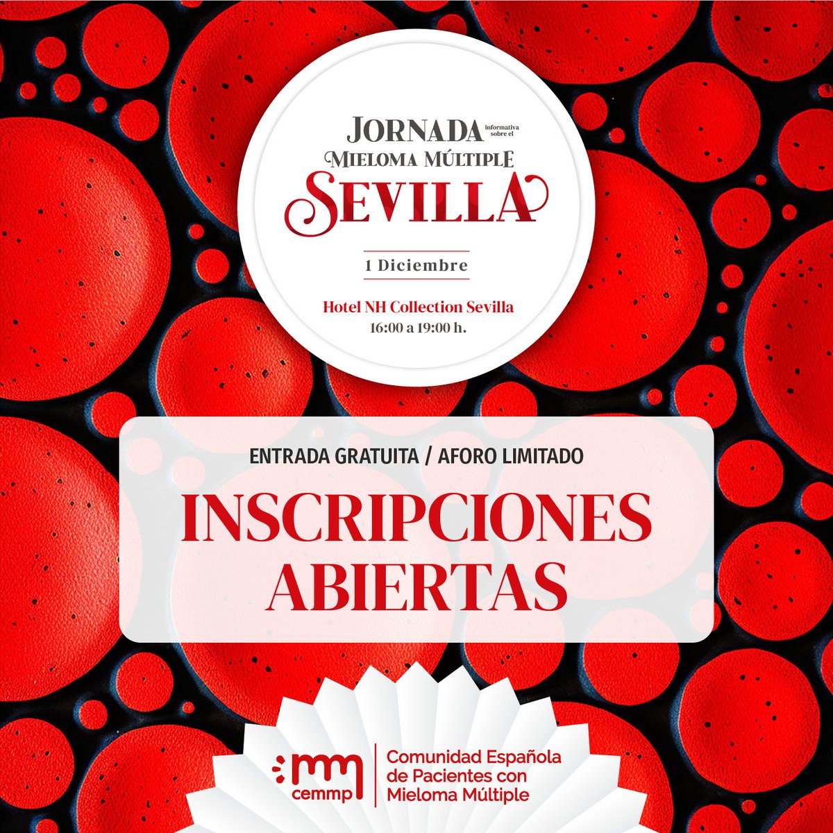 🩸 ¡Ya puedes inscribirte! a nuestra Jornada Informativa sobre Mieloma Múltiple · Sevilla
El próximo 1 de diciembre celebraremos en Sevilla una nueva jornada dirigida a pacientes con #Mieloma y familiares con la participación de especialistas en #Mieloma Múltiple de referencia en