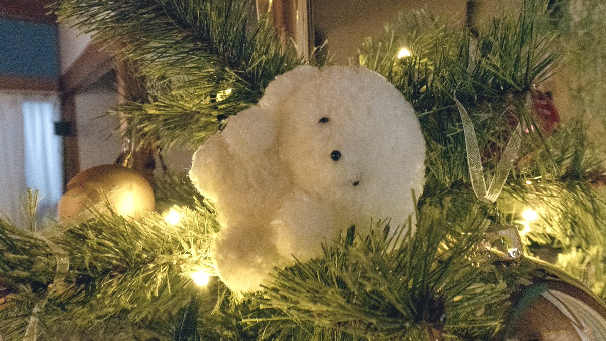 いしょけんめ　ぃきてて　よかちゃ