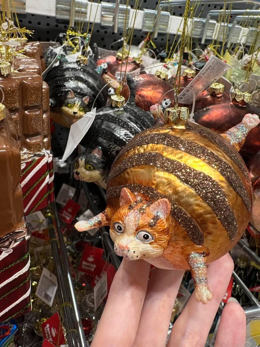 Новогодние игрушки в виде толстых животных завезли в О’кей

Надо брать😁