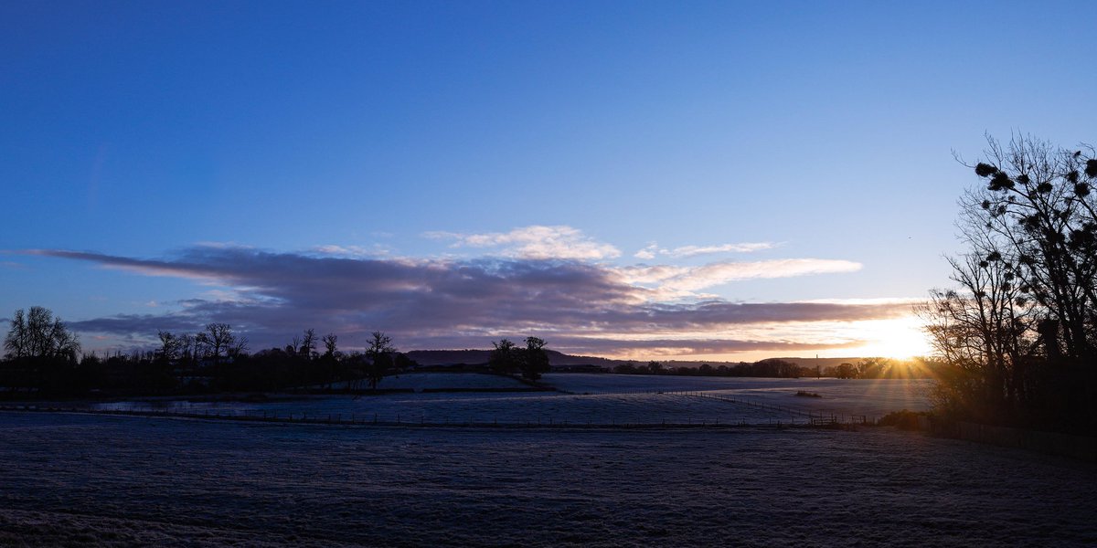 Æthelflæd (@theaethelfled) on Twitter photo 