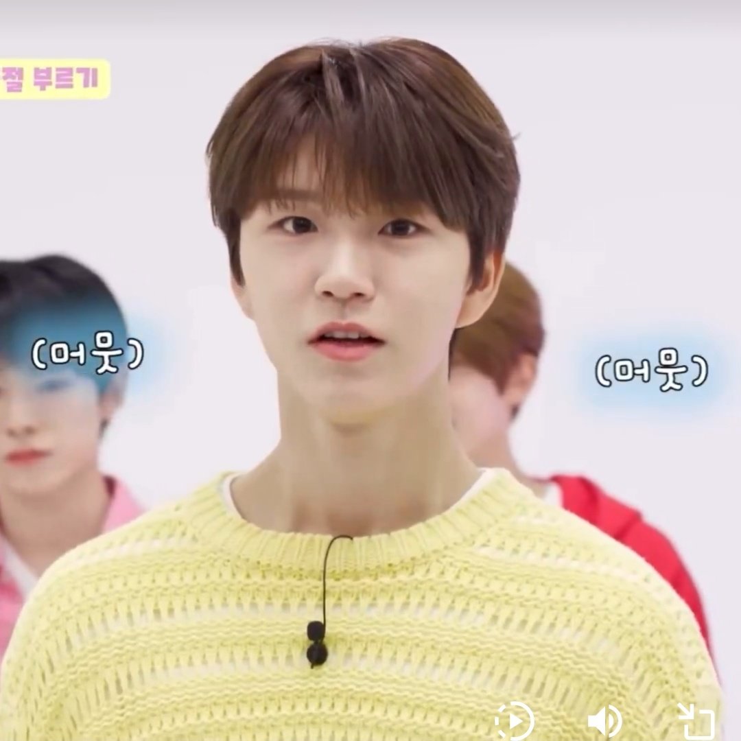 댕른 아카이브 tweet media