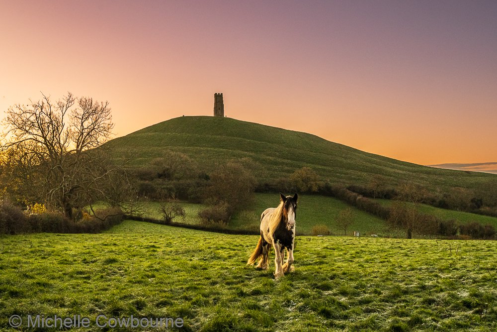 Glastomichelle's tweet image. Tranquility at dawn. This morning at the base of Glastonbury Tor about 40 minutes before sunrise.