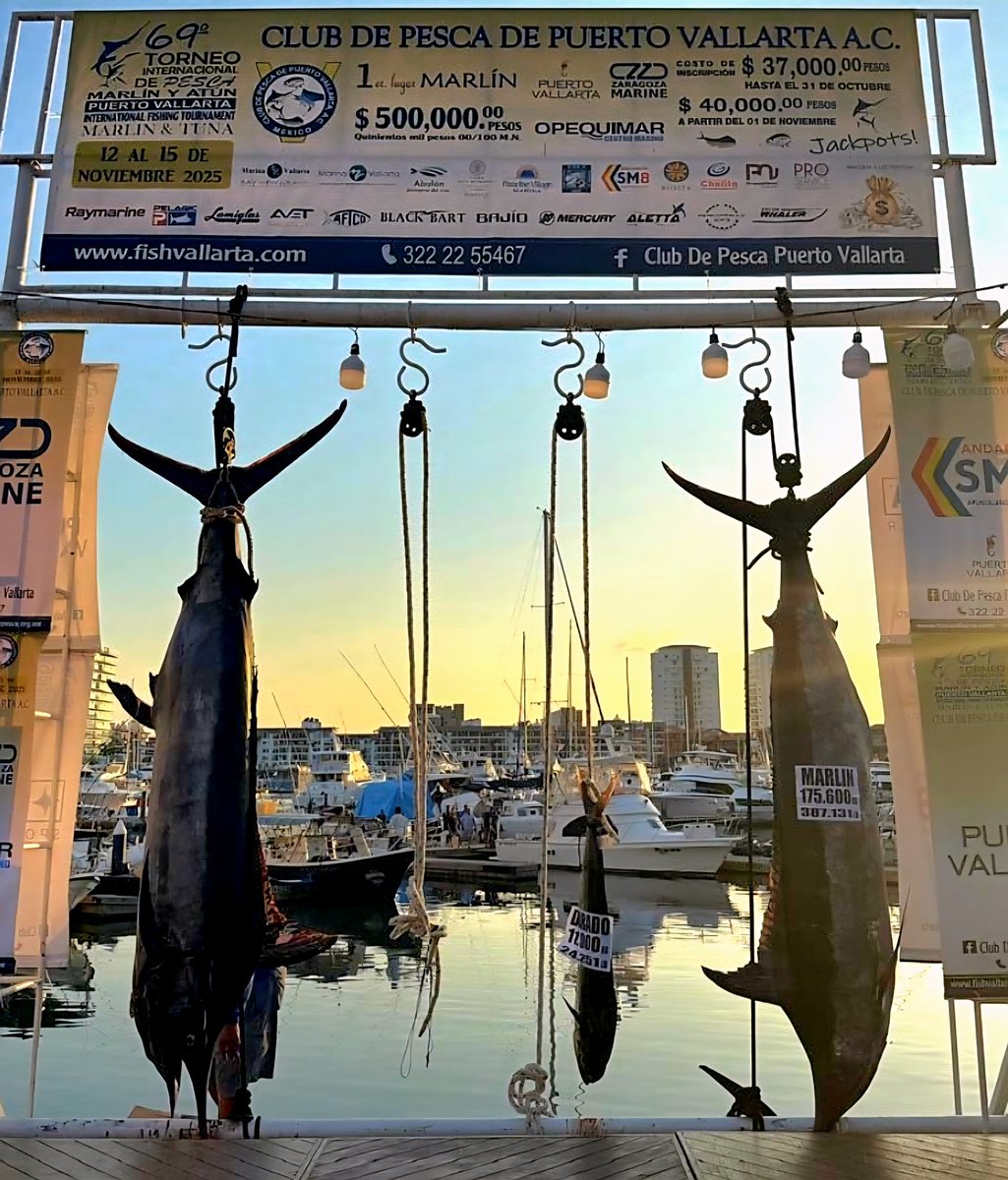 PuertoCharters's tweet image. Puerto Vallarta fishing in the Fall
travelvallarta.com