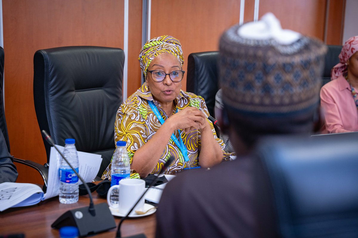 UNDP Nigeria tweet media