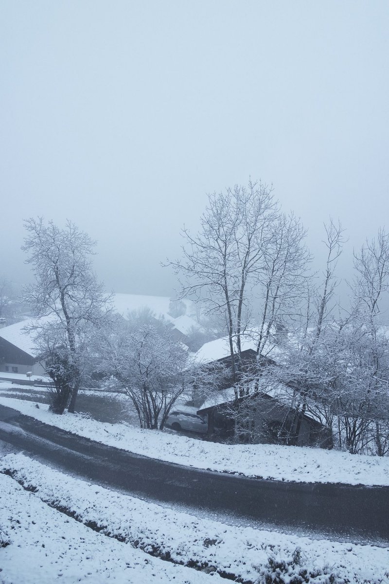Surrounded by snow, while drawing some snowy landscapes for #TheDollShop… Perfect timing for inspiration! 🌨️