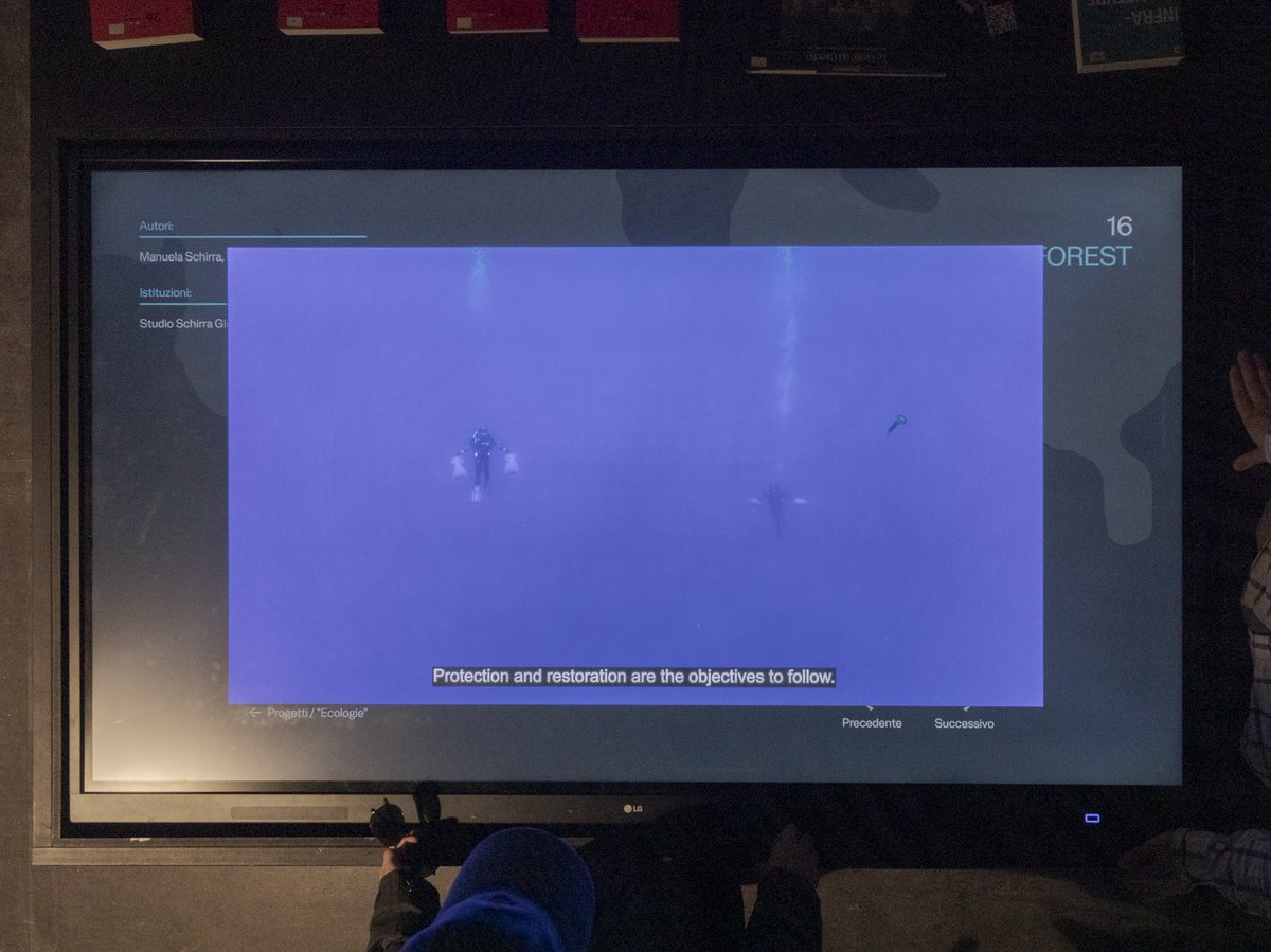 schirragiraldi's tweet photo. the art SEA FOREST is exhibited at 19.MIA – Mostra Internazionale di Architettura in the context of TERRÆ AQUÆ. L’Italia e l’intelligenza del mare / Padiglione Italia – La Biennale di Venezia 2025 –– until 23th November. https://t.co/GULzdsqZ4s