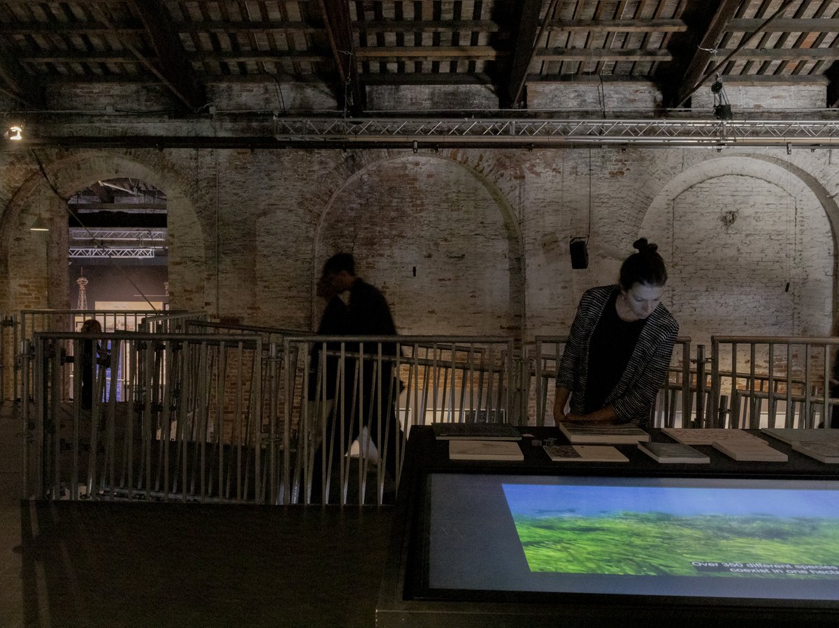 schirragiraldi's tweet photo. the art SEA FOREST is exhibited at 19.MIA – Mostra Internazionale di Architettura in the context of TERRÆ AQUÆ. L’Italia e l’intelligenza del mare / Padiglione Italia – La Biennale di Venezia 2025 –– until 23th November. https://t.co/GULzdsqZ4s