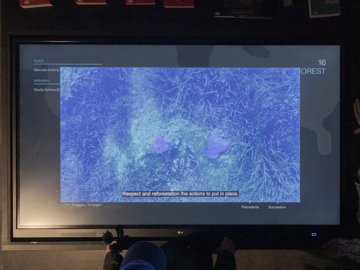 schirragiraldi's tweet photo. the art SEA FOREST is exhibited at 19.MIA – Mostra Internazionale di Architettura in the context of TERRÆ AQUÆ. L’Italia e l’intelligenza del mare / Padiglione Italia – La Biennale di Venezia 2025 –– until 23th November. https://t.co/GULzdsqZ4s