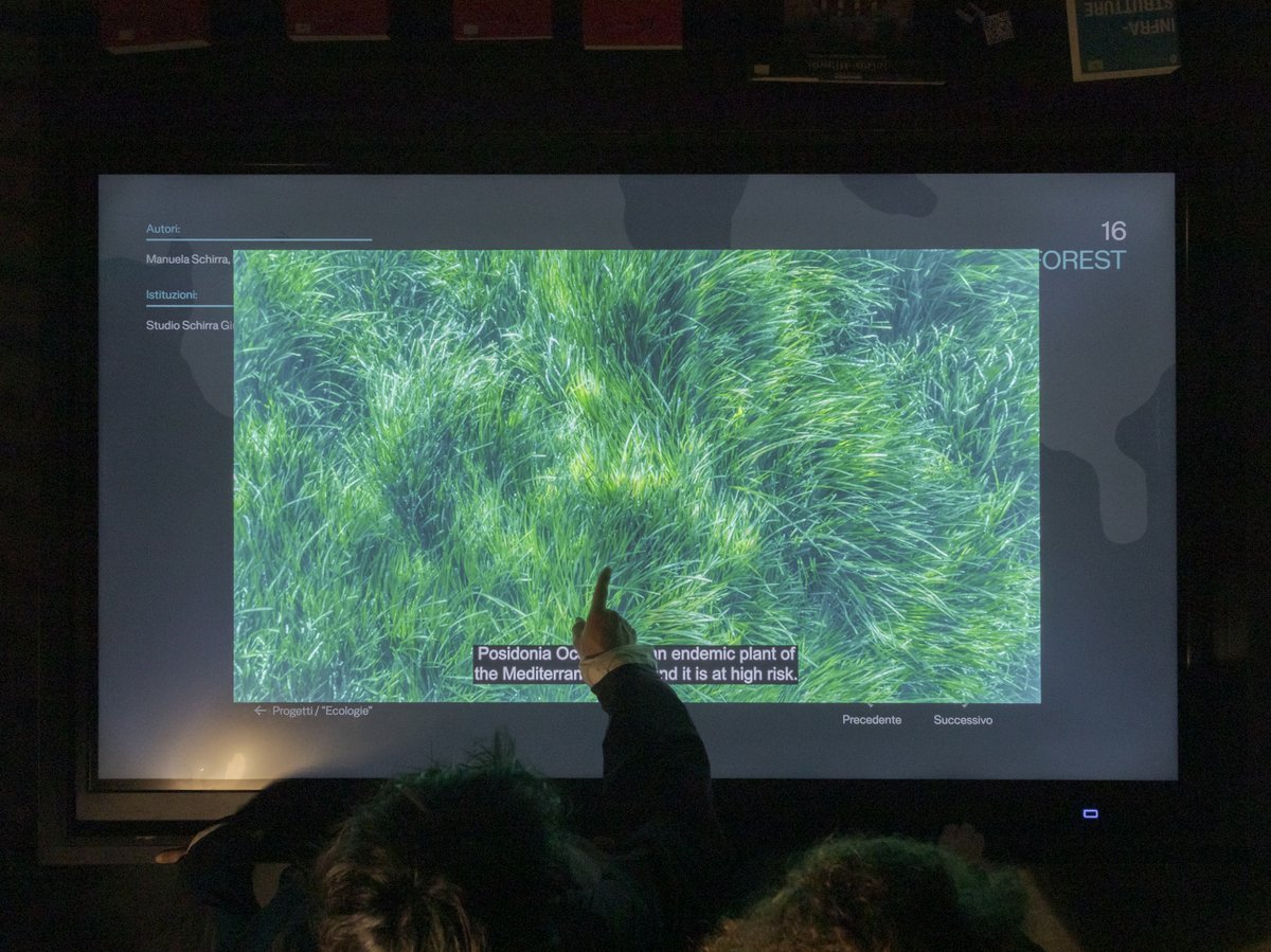schirragiraldi's tweet photo. the art SEA FOREST is exhibited at 19.MIA – Mostra Internazionale di Architettura in the context of TERRÆ AQUÆ. L’Italia e l’intelligenza del mare / Padiglione Italia – La Biennale di Venezia 2025 –– until 23th November. https://t.co/GULzdsqZ4s