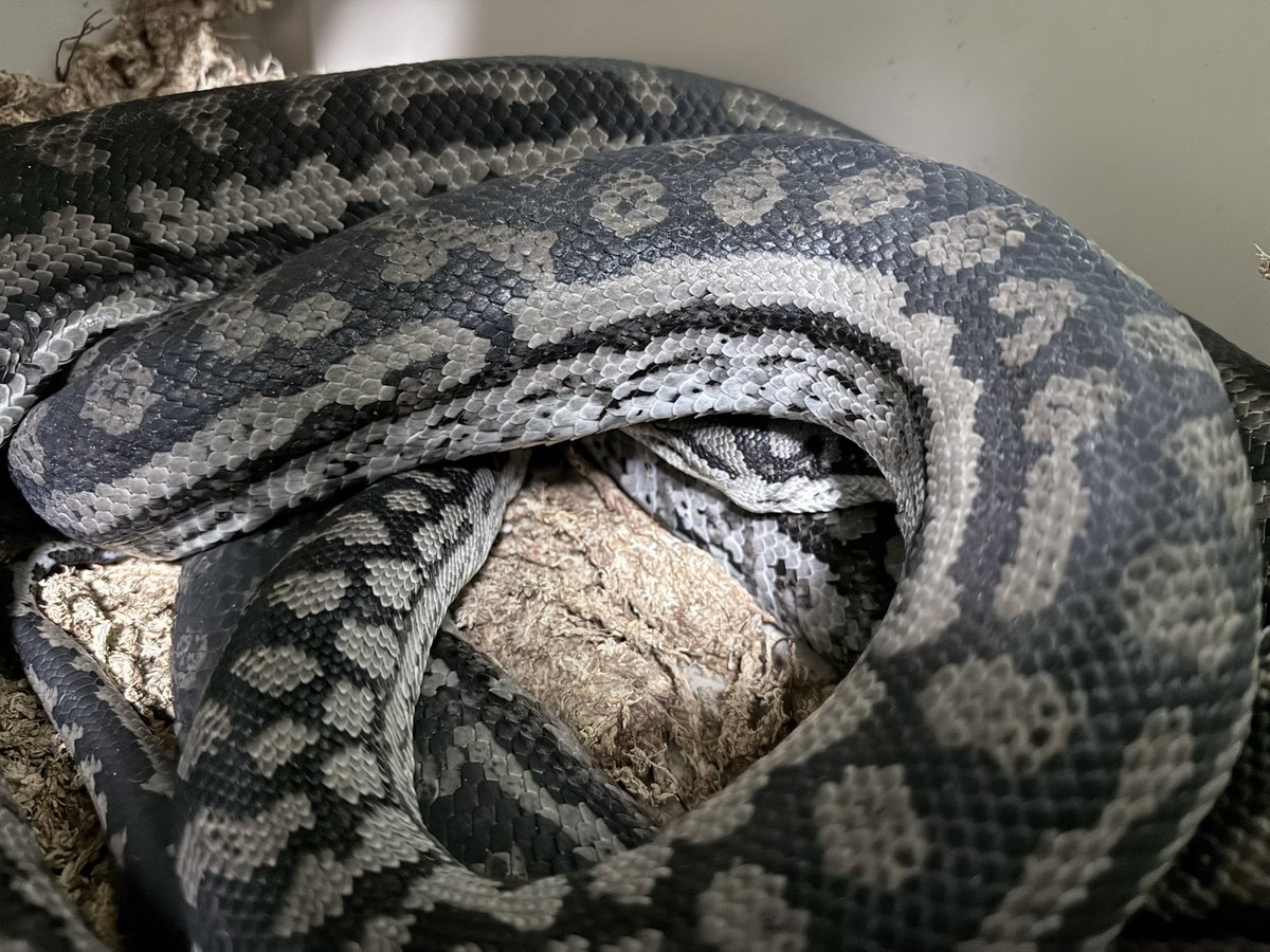 一緒にいる時間が多くなった…気がする…