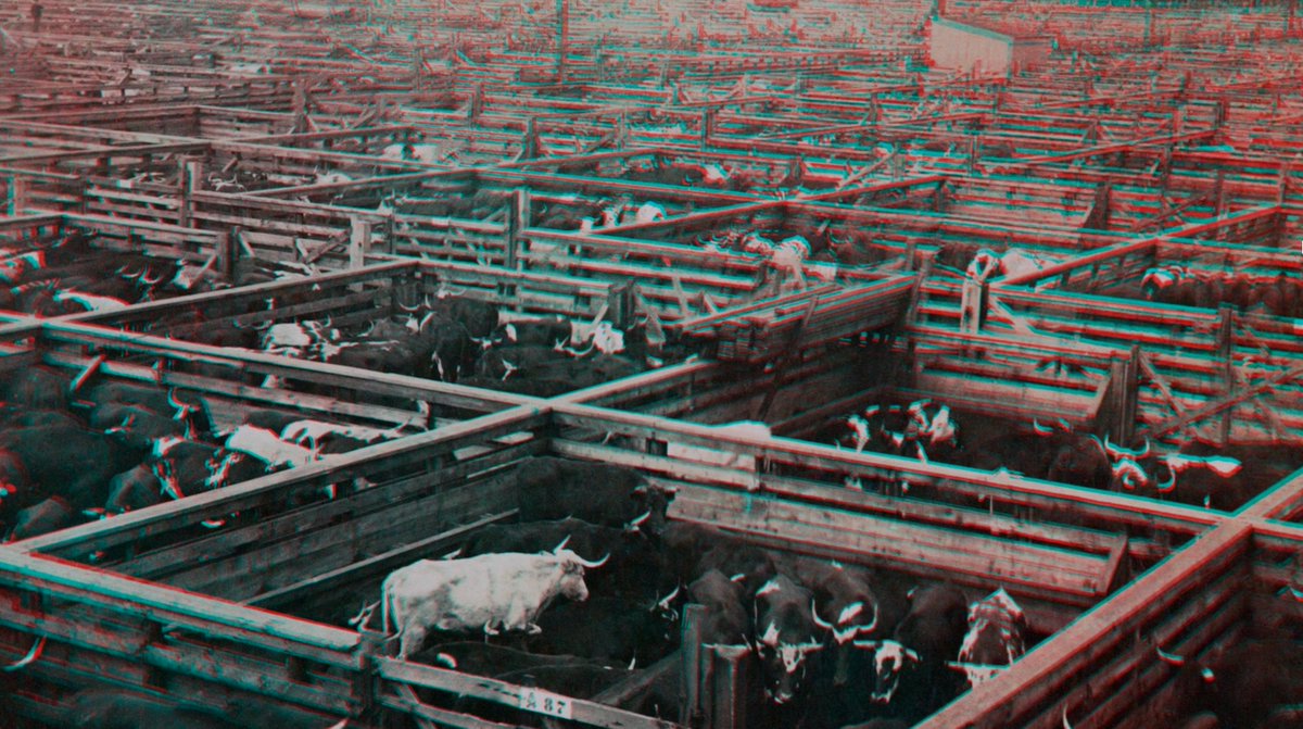 medialabMM's tweet image. 💠 Ponentes OpenLAB⁣ | 𝗥𝗶𝗰𝗵 𝗣𝗲𝗹𝗹 - 𝗖𝗼𝗱𝗲𝘅 𝗘𝗻𝘁𝗿𝗼𝗽𝗶𝗮⁣
⁣
🏙️ Narra una historia en la que una civilización antigua desarrolla tecnologías informáticas animales y almacena información en paisajes.
⁣
📍 27 nov. | 20:15h. | #OpenLAB⁣
⁣
+ medialab-matadero.es/actividades/ri…