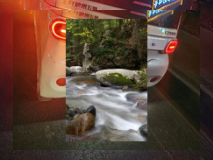 Life_Style_Comp's tweet image. 638992391891437336_115Un walk avec des amis, visite du musée d’Art Moderne de Paris en printemps 🖼️638992391891437336_115