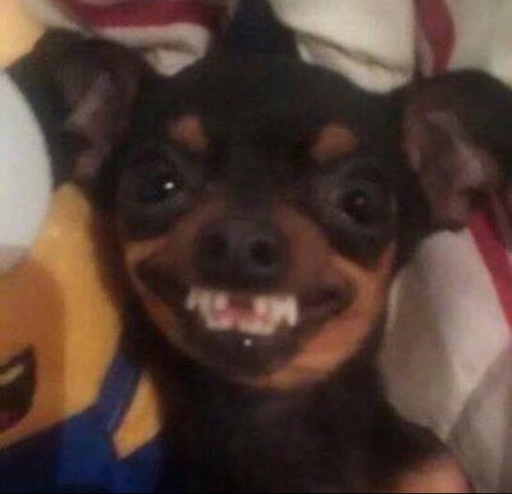 <a href="/BinsaeedRashid/">🇦🇪 Rashid bin Saeed : راشد بن سعيد</a> Lots of Kenyans and Nigerians dropping their numbers 😂😂😂😂😂
 Kwani how bad is the situation in your country buana 🤣