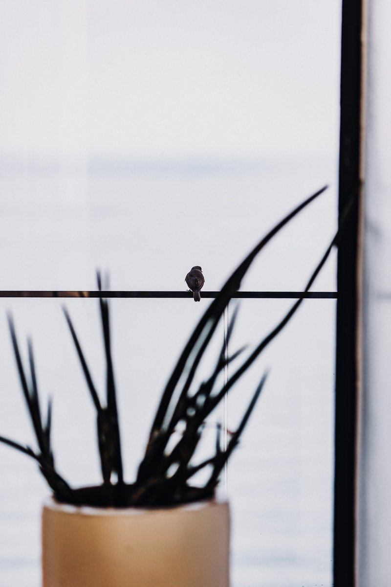 EverRetreat tweet media