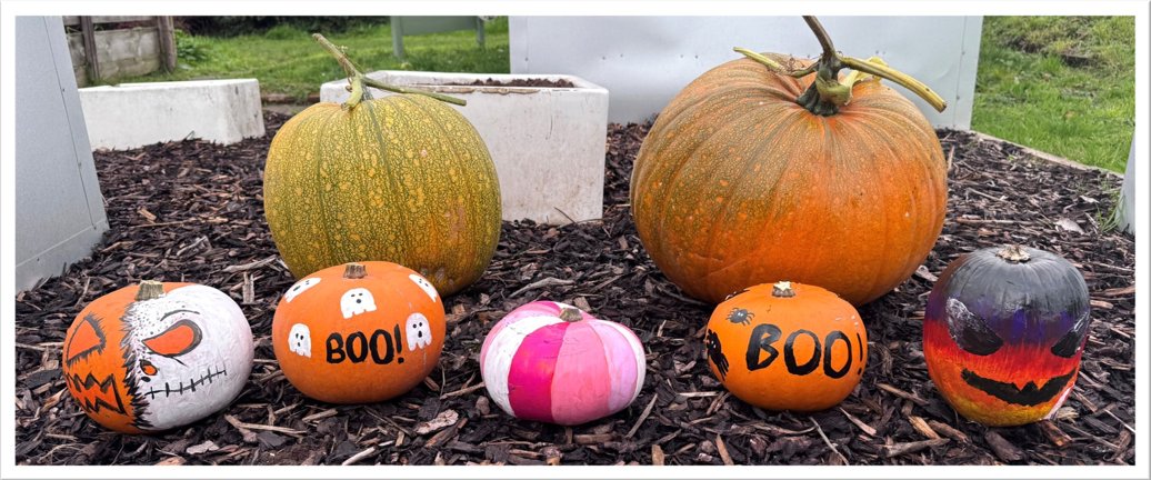 CypIsh's tweet photo. The ISH allotment delivered this autumn, as many young people were able to utilise the quiet space to engage in some mindfulness, Halloween activities https://t.co/Ck1sADWnF3