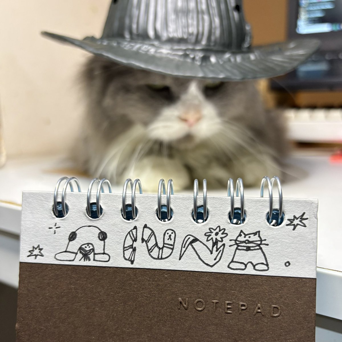 tfoolswhodream's tweet image. H-hello harry pawtter 🐾🪄