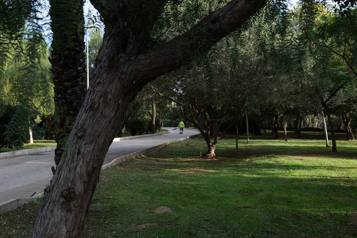 Jardines de Cartagena tweet media