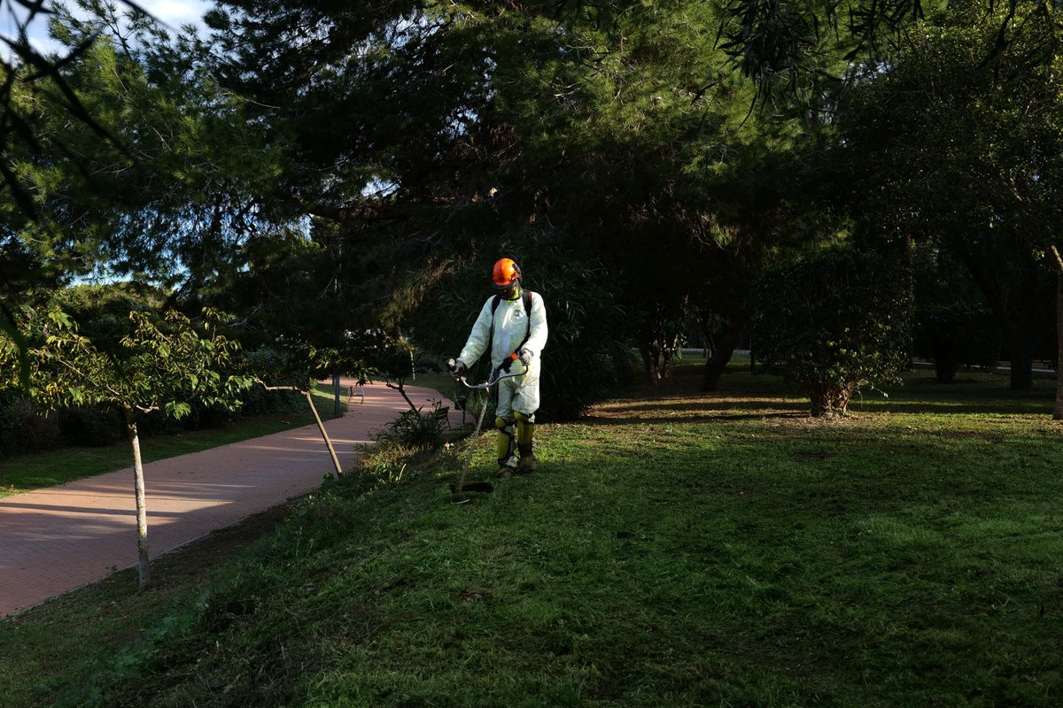 Jardines de Cartagena tweet media