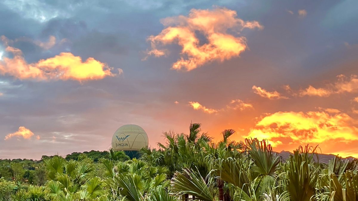 #JUNGLIAナビ
こんにちは、ナビゲーターのK です🌿

全国的にぐっと冷え込み始める季節ですが、沖縄の秋冬はふわっと暖かい穴場シーズン。
毎日パークで過ごす私が、この季節の魅力を3つのポイントにまとめてご紹介します。

① 　さらっと快適な暖かい日中☀️

秋冬の沖縄は日中20〜23℃ほど。